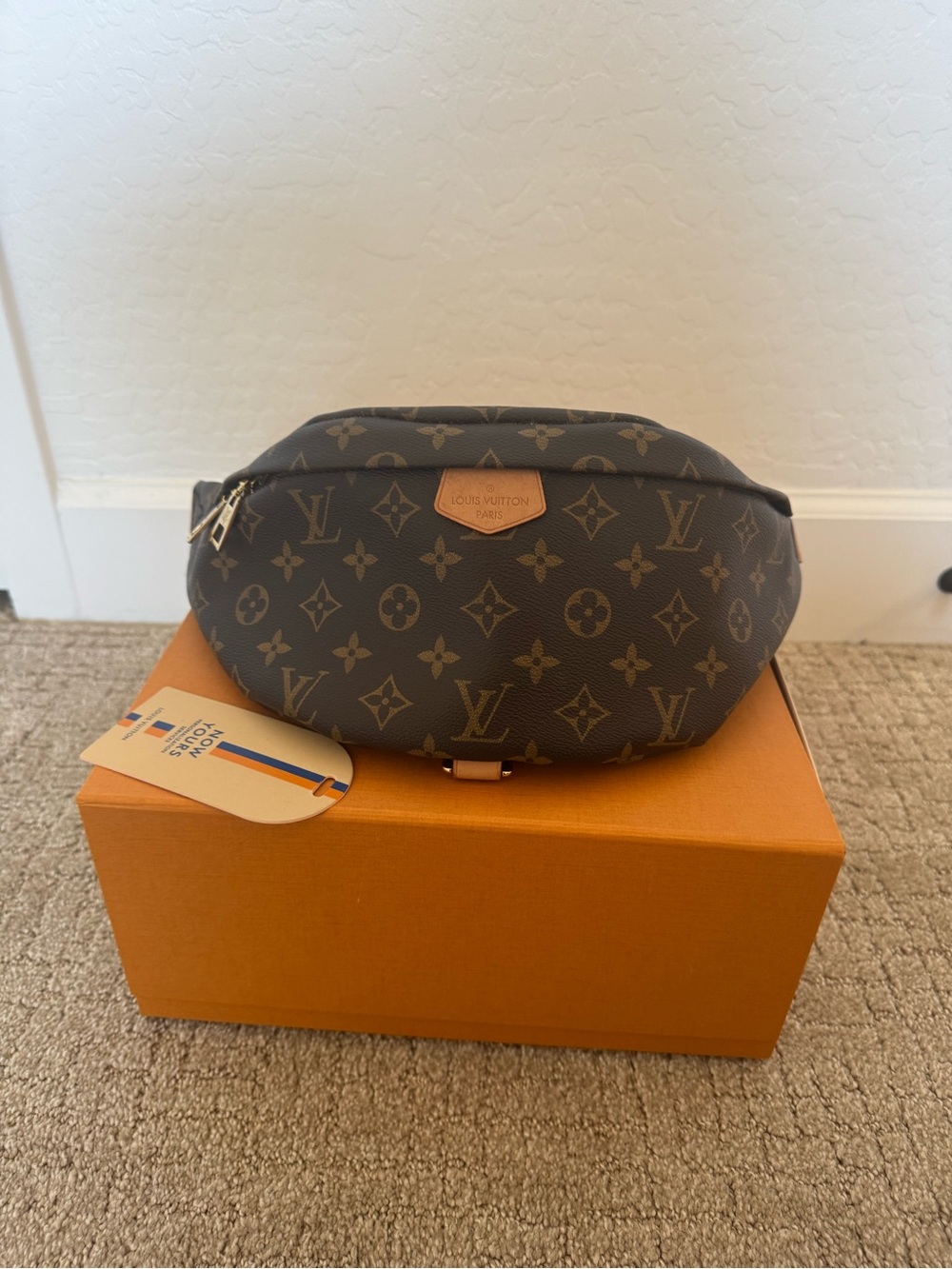 Louis Vuitton  My World Tour Bumbag
